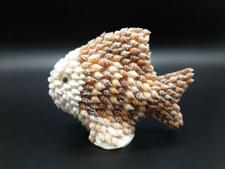 Vintage Sea Shell Encrusted Fish Made In Phillipines