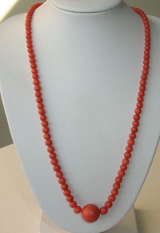 Antique Red Coral Necklace Ca 1890 Wonderful Big 13 Mm Big Bead 14 Ct Gold Clasp