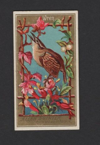 1888 Allen & Ginter N4 Birds Of America Wren
