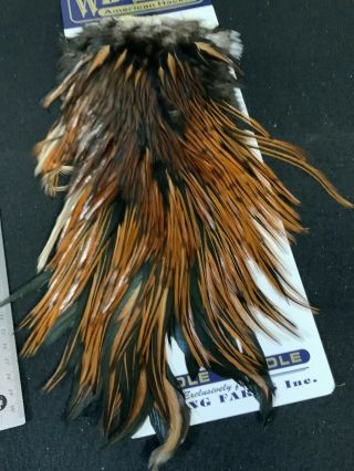 VINTAGE WHITING FARMS AMERICAN ROOSTER SADDLE FEATHERS FLY TYING 2