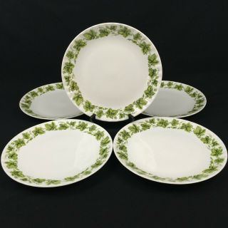 Set Of 5 Vtg Dinner Plates By Retsch & Co Ivy Wunsiedel Bavaria Porcelaine