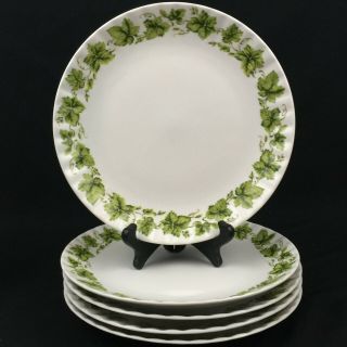 Set of 5 VTG Dinner Plates by Retsch & Co Ivy Wunsiedel BAVARIA Porcelaine 2