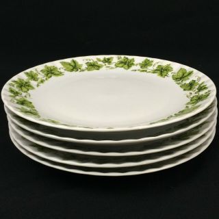 Set of 5 VTG Dinner Plates by Retsch & Co Ivy Wunsiedel BAVARIA Porcelaine 3