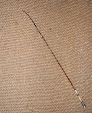 Antique Ladies Victorian Small Pony Holly Driving Whip With Silver Handle