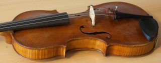 Very Old Labelled Vintage Violin " Carlo Antonio Testore " Fiddleァイオリン Geige 1300