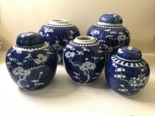 Antique Chinese Five Blue And White Porcelain Prunus Pattern Ginger Jars 19th