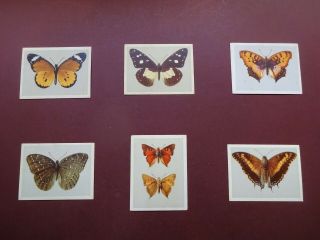 South African Butterflies Issued 1937 By United Tob.  (cos) Set L52