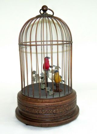 Mid - 1900s Griesbaum 2 Singing Bird Automaton In Antiqued Brass Cage -