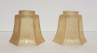 Vintage Art Deco Acid Etched Peach Frosted Glass Chandelier Ceiling Light Shade 3