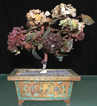 Vintage Antique Chinese Jade Bonsai Tree In Cloisonne Flower Pot 552