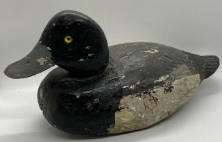 RARE 19thC Antique Carved Wood Signed Bluebill Duck Decoy Swivel Head Glass Eyes 2