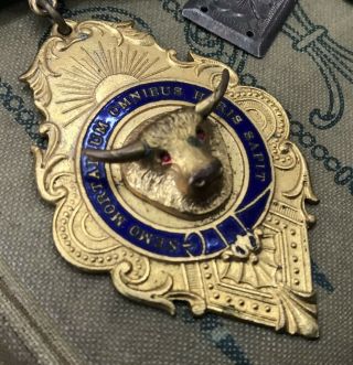 Vintage Royal Order Of Antediluvian Buffalos R.  O.  A.  B Gold Gilt Medal Masonic