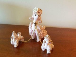 Vintage Pink Spaghetti Poodles - Mom And 2 Pups