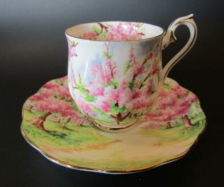 Vintage Royal Albert " Blossom Time " Demitasse Teacup And Saucer