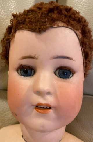 Antique 22 " German Bisque Simon Halbig 550 Boy Doll W/curacul Wig