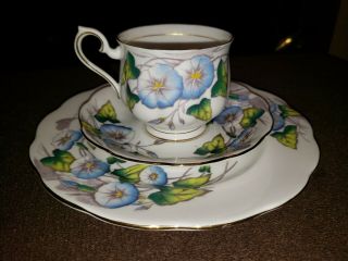 Gorgeous Vintage Royal Albert Porcelain Tea Cup & Saucer The Morning Glory 3 Pc