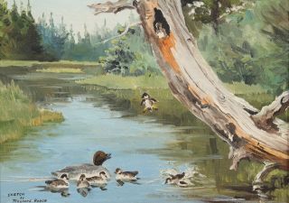 MAYNARD REECE Wildlife Sketch Oil Painting Goldeneye Ducks,  Duck Stamp Artist NR 3