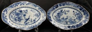 Chinese Antique Qing Dynasty,  Pair Qianlong Chargers/platters,  Peacocks 18c