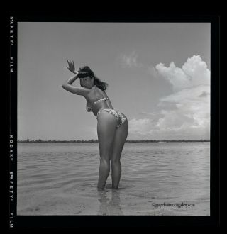 Bikini Clad Bettie Page 1954 Camera Negative Bunny Yeager W/ Copyright Transfer 2