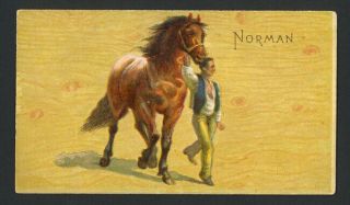 Norman 1892 N101 Duke 
