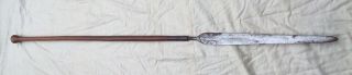 Antique Iklwa Zulu Askari Spear South African Assagai Anglo Boer War Era 1899 - 01