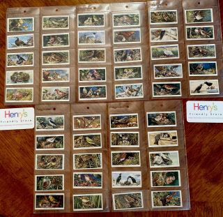 1937 John Player Cigarette Tobacco Cards " Birds And Their Young " Set Of 50