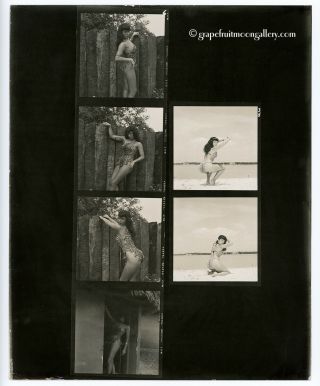 Bunny Yeager 1954 Vintage Bettie Page Contact Sheet 6 Photographs Sexy Sheena
