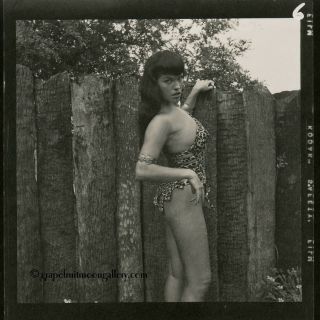 Bunny Yeager 1954 Vintage Bettie Page Contact Sheet 6 Photographs Sexy Sheena 2
