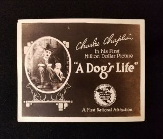 1918 " A Dog 