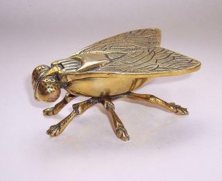Vintage Antique Brass Fly Themed Match Holder Striker Vesta - Detailng