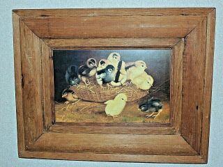 Antique Ben Austrian Color Lithograph " Chicks Nesting ",  Signed,  Dated