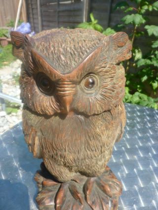 Antique carved wood Black Forest tobacco jar in the form of an owl 3