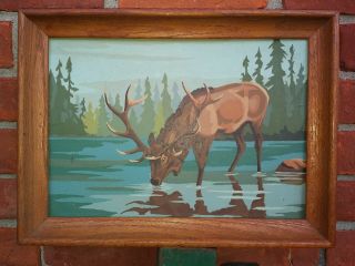 Elk Paint By Number 10 X 14 Inches Wooden Frame Vintage 1970 