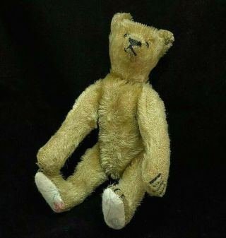 Rare 9 " Antique Steiff Mohair Teddy Bear Long Trailing Ff Button Nr