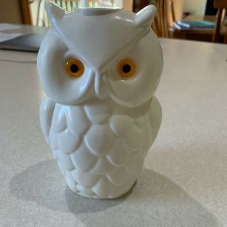White Vintage Owl Replacement Blow Mold Party String Light Cover Rv Camper