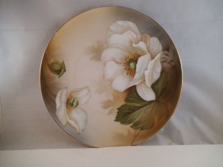 Vintage Rs Germany White Flower Salad Plate Decorative