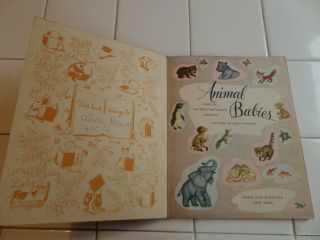 Animal Babies,  A Little Golden Book,  1947 (A ED;VINTAGE BROWN BINDING) 3