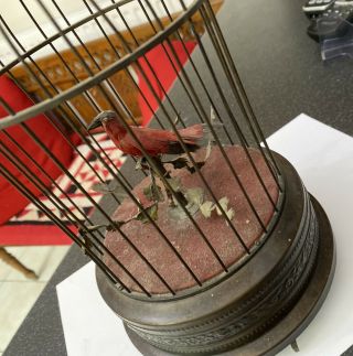 Antique German Karl Griesbaum Automaton Singing Bird In Cage Circa Early 1900s