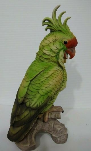 Porcelain Cockatoo Bird Vintage Figurine Andrea By Sadek Ceramic Parrot Statue