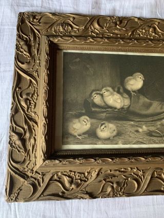 Antique ben austrian Print Chicks Ducks Picture Ornate Gesso Wood Frame 2
