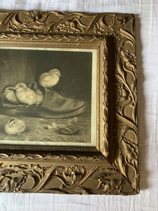 Antique ben austrian Print Chicks Ducks Picture Ornate Gesso Wood Frame 3