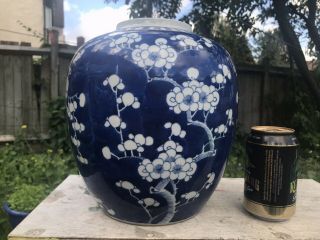 Large Antique Chinese 19th Prunus Blossom Blue & White Porcelain Vase