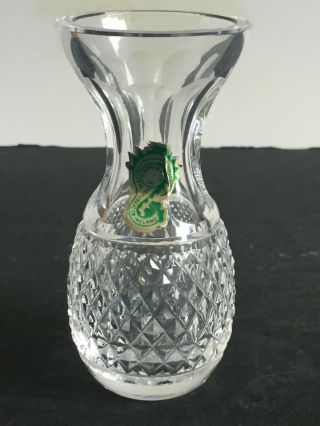 Vintage Colleen Waterford Crystal Cut Glass Vase 4 1/4 " Tall With Seahorse Label