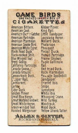 1889 Allen & Ginter N13 Game Birds Prairie Chicken 2