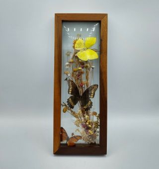 Vintage Dried Pressed Flowers & Butterflies Framed Wall Art Floral