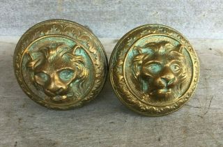 Matched Antique Victorian Brass Door Knob With Lions Head