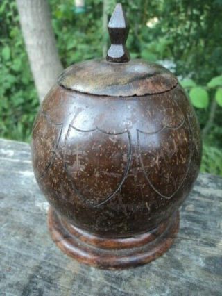 Early Twentieth Century,  Engraved Coconut Shell Tobacco Jar.