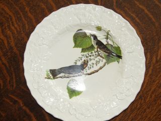 Vintage Alfred Meakin Bird Plate Kingbird 79 Luncheon Plate 9 "