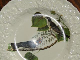 Vintage Alfred Meakin Bird Plate Kingbird 79 Luncheon Plate 9 