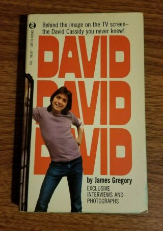 David David David By James Gregory Vintage Book 1972 David Cassidy Rare